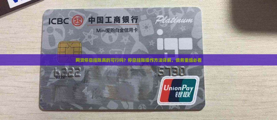 网贷停息挂账操作方法详解