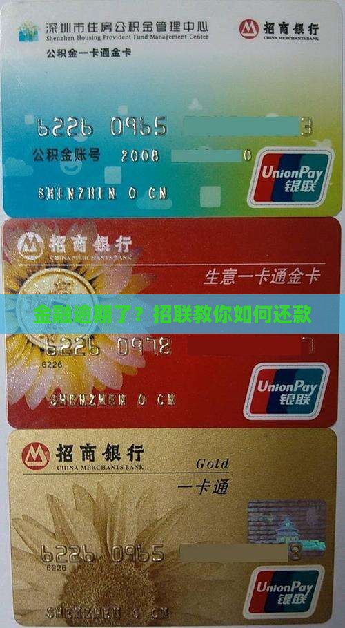 我欠招联金融几千元逾期了怎么办抓紧还款