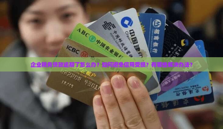 企业税务贷款逾期怎么办法