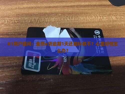 金燕e贷逾期一天怎么还可以补救吗