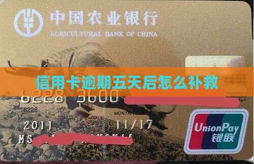 信用卡逾期五天后的处理方法