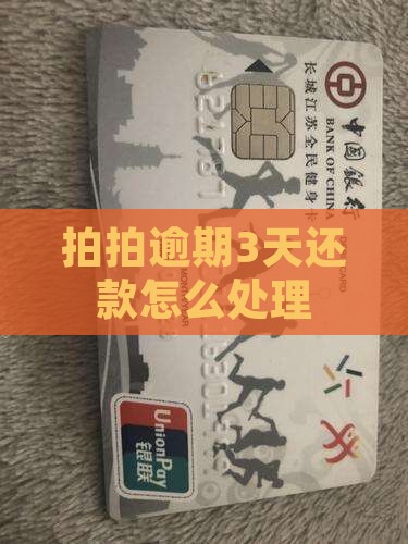 拍拍贷逾期3天还款怎么办
