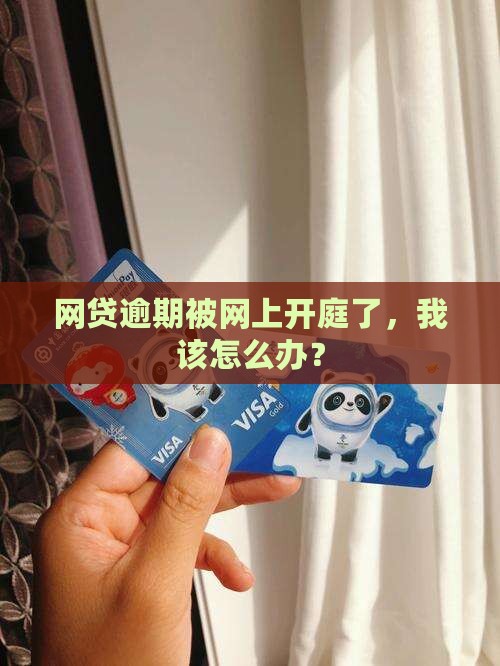 网贷逾期网上开庭要怎么应对
