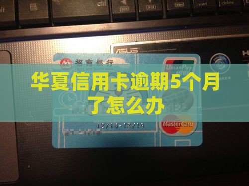 华夏信用卡逾期5个月了怎么办