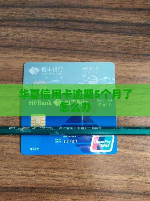 华夏信用卡逾期5个月了怎么办