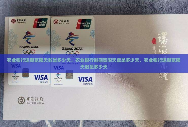 农业银行逾期宽限天数是多少