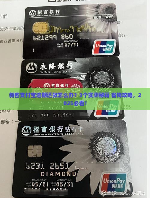 新密有支付宝逾期还款的解决办法吗