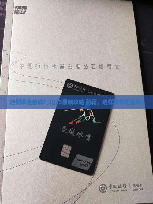 逾期协商本金结清方法和流程