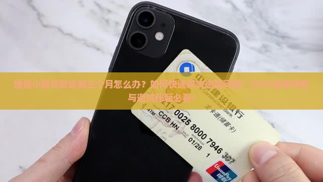 维信小额贷款逾期三个月