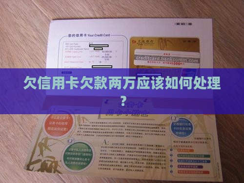欠信用卡欠款两万应该如何处理