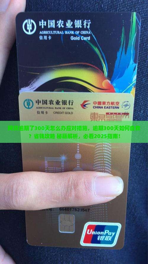 网贷逾期了300天怎么办应对措施