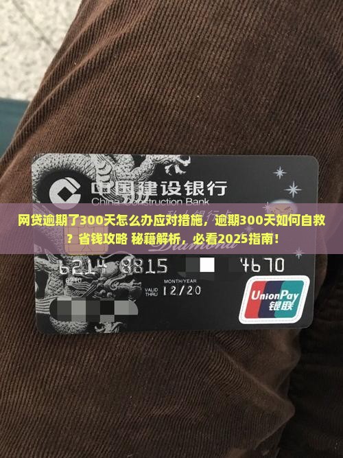 网贷逾期了300天怎么办应对措施