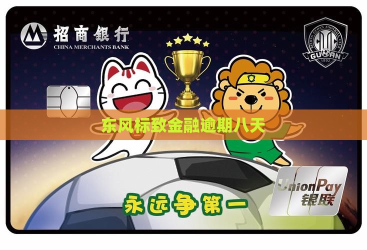 东风标致金融逾期八天
