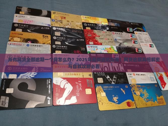 所有网贷全部逾期一个月如何处理