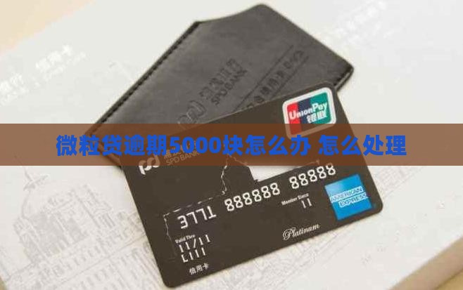 微粒贷逾期5000块怎么办