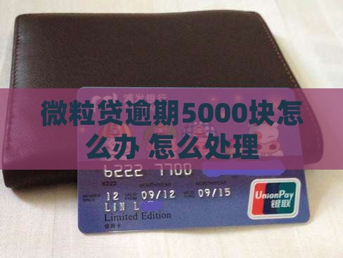 微粒贷逾期5000块怎么办