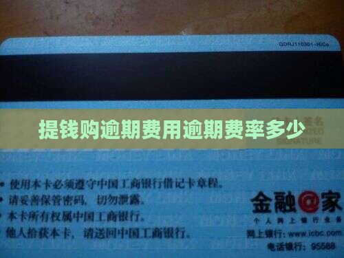 提钱购逾期费率多少