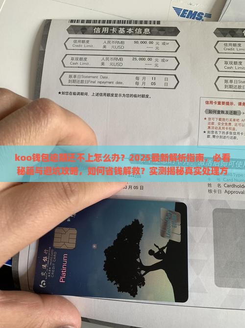 koo钱包逾期了还不上怎么办处理方式