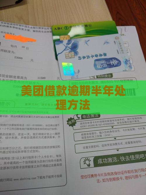 美团借款逾期半年处理方法