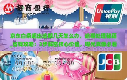 京东白条超出逾期几天怎么办