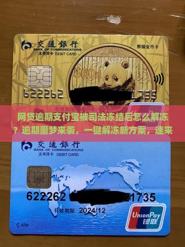 网贷逾期支付宝被司法冻结后怎么解冻