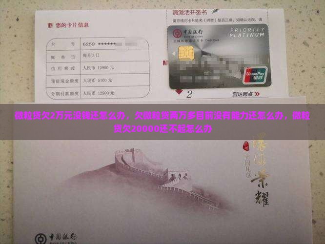 微粒贷欠2万元没钱还怎么办