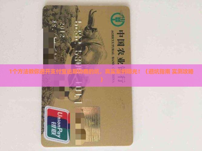支付宝逾期谁协商成功了需要注意哪些问题