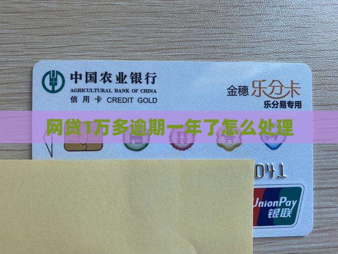 网贷1万多逾期1年了怎么处理