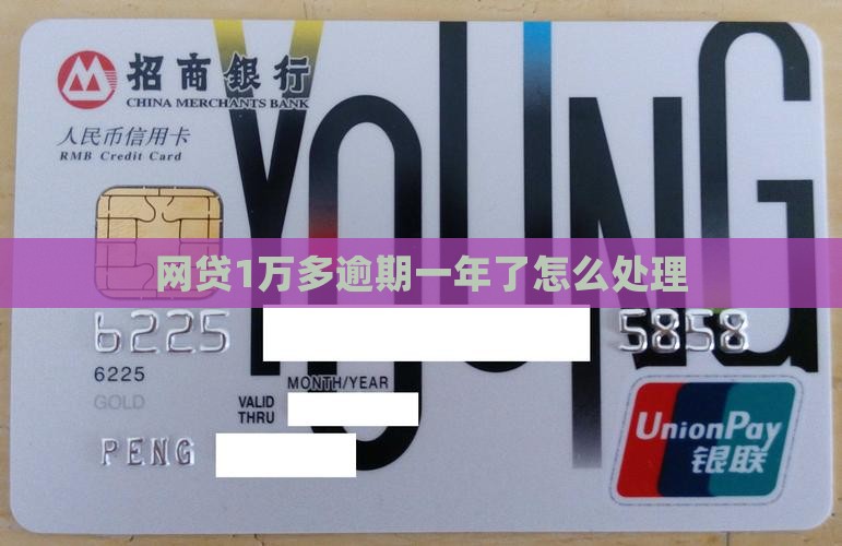 网贷1万多逾期1年了怎么处理
