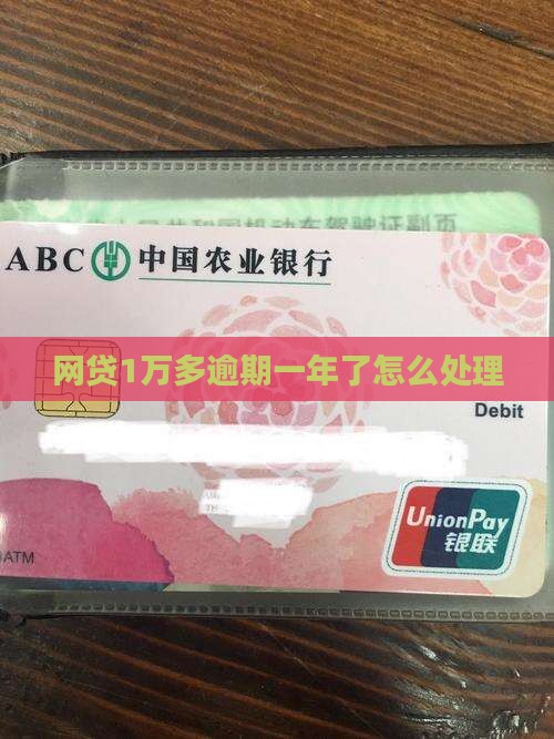 网贷1万多逾期1年了怎么处理