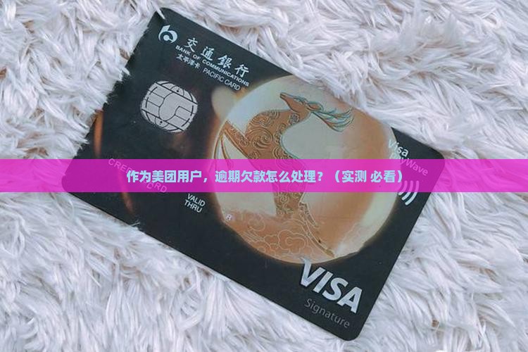 美团逾期欠款处理方法