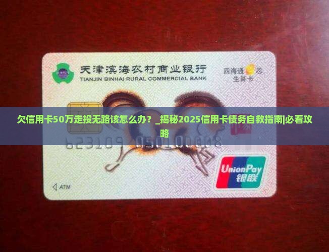 欠信用卡50万走投无路该怎么办