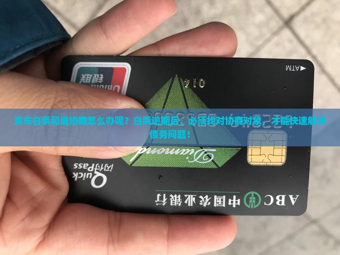京东白条和谁协商怎么办呢