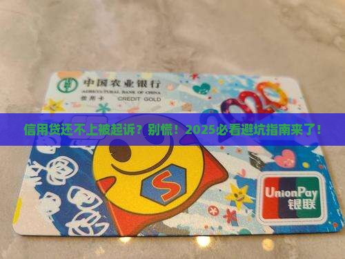 信用贷还不上被起诉