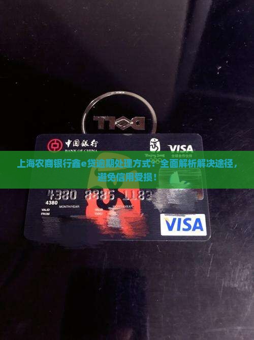 上海农商银行鑫e贷逾期处理方式