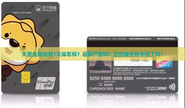 天星金融逾期1天会怎样处理