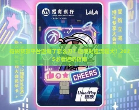 榕树贷款平台逾期处理流程解析