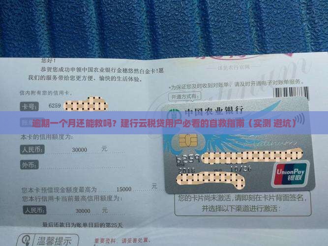建行云税贷逾期一个月
