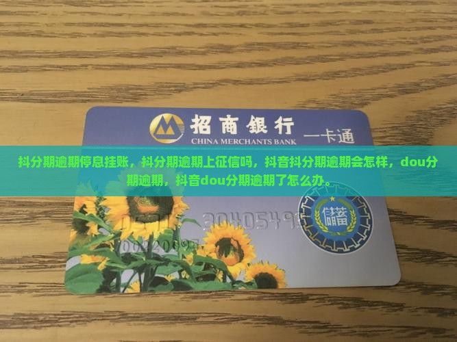 抖分期逾期停息挂账