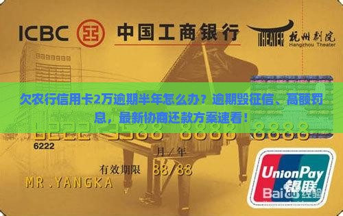 欠农行信用卡2万逾期半年怎么办