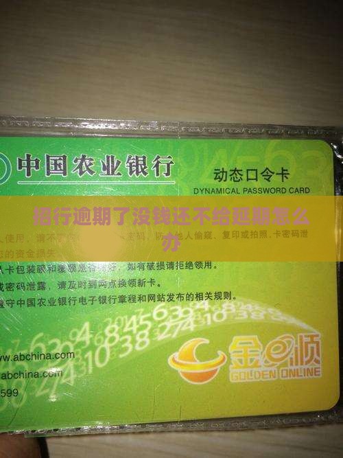 招行逾期了没钱还不给延期怎么办