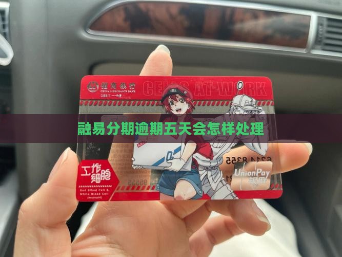 融易分期逾期五天会怎么样怎么处理