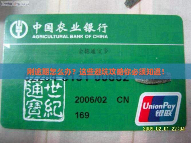 360借条刚逾期应该怎么处理