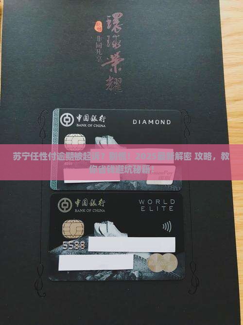 苏宁任性付逾期起诉流程详解