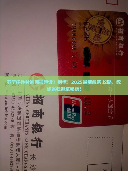 苏宁任性付逾期起诉流程详解