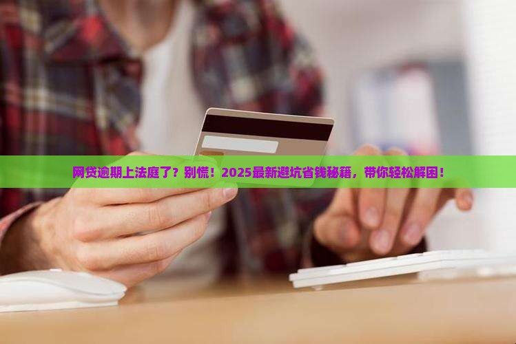 网贷逾期无力偿还上法庭怎么办