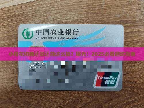 小橙花协商还款