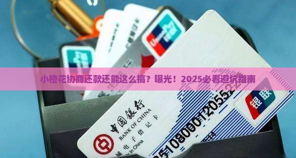 小橙花协商还款