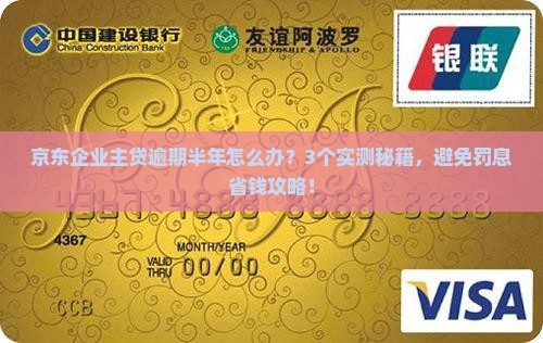 京东企业主贷逾期半年如何解决