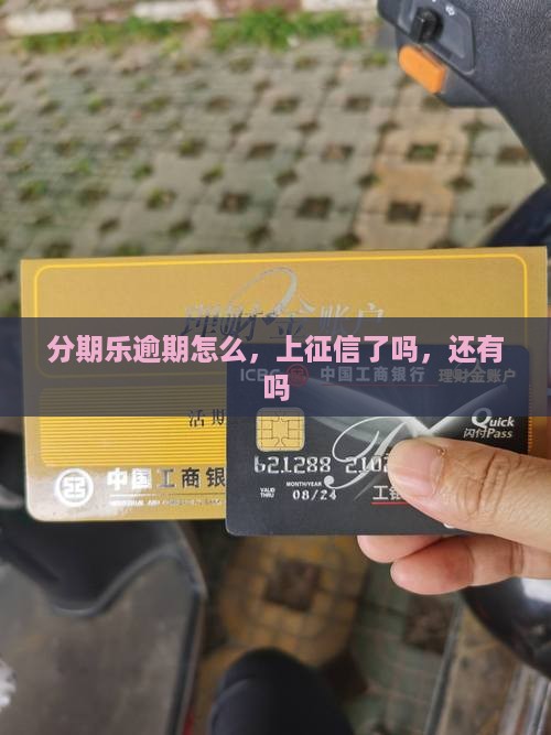 分期乐360借条逾期怎么办理